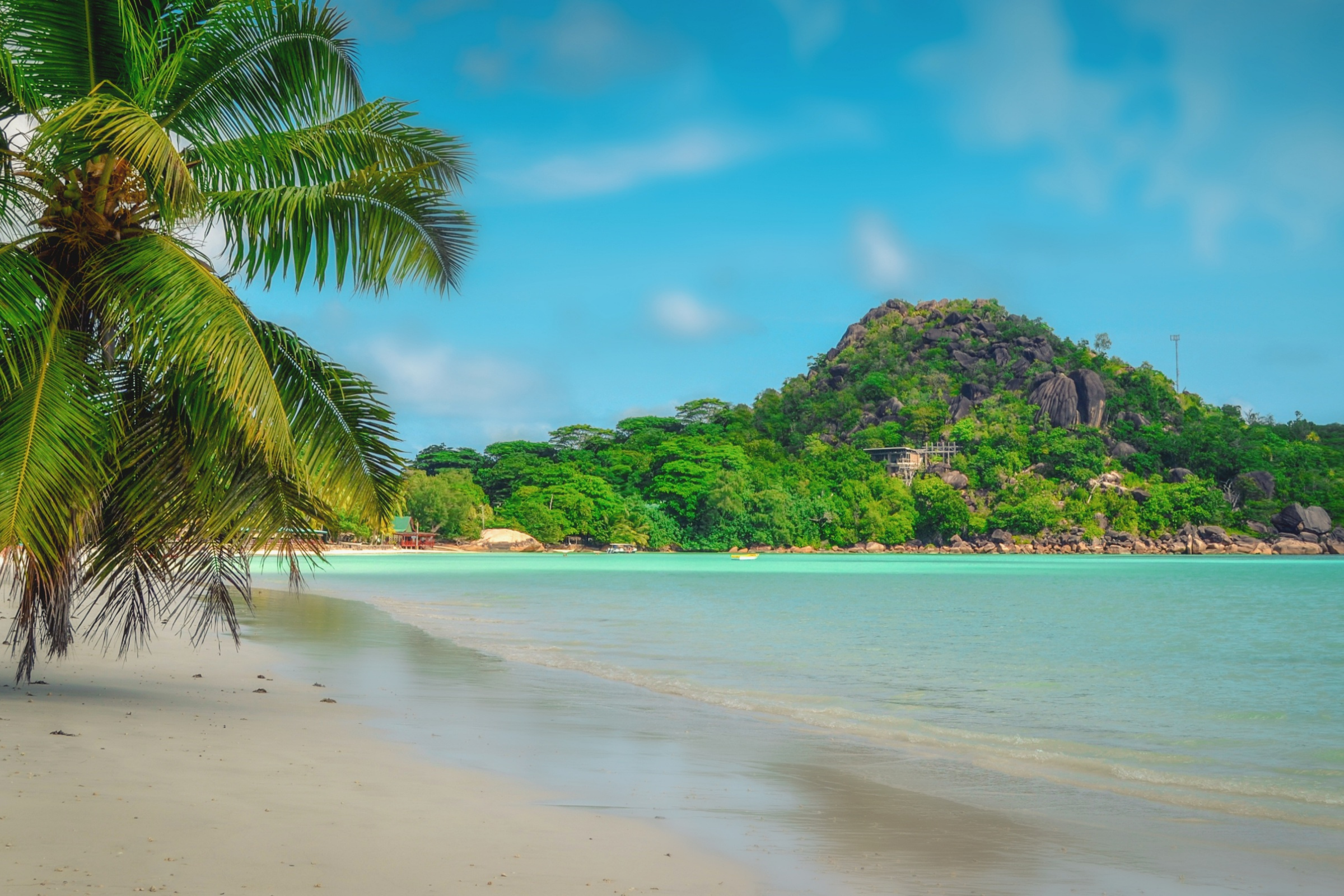 makira island (4).webp